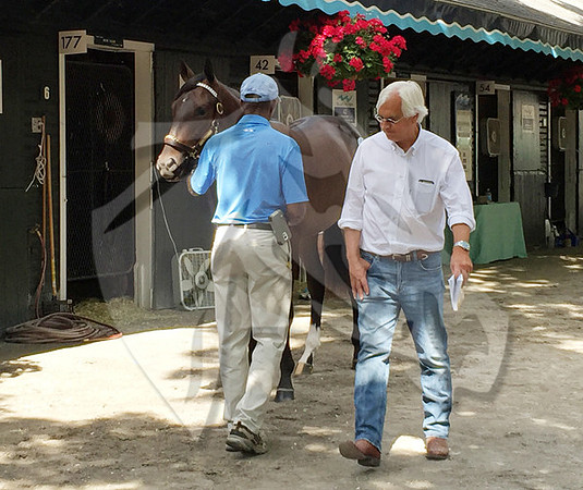 Baffert,BobHip147FTS64