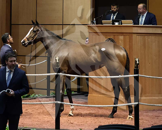 Hip150SycamoreShoals2-25FTK4305