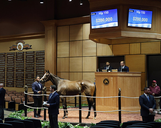 Hip150SycamoreShoals2-25FTK4361