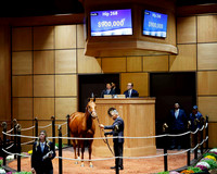 Hip268FTK10-20-25FTK562