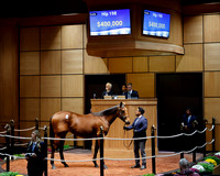 Hip198FTK10-20-25FTK274