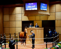 Hip268FTK10-20-25FTK562