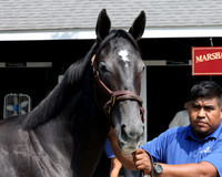 Hip567FTNY8-25FTK9750