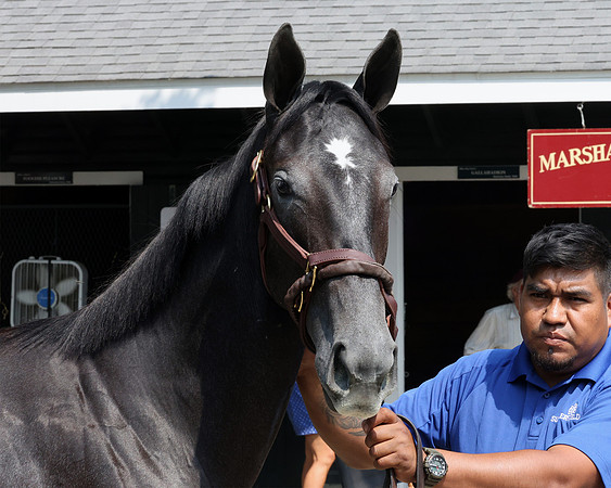 Hip567FTNY8-25FTK9750