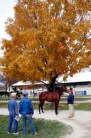 FTKscenics11-09Z19