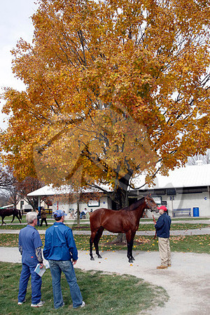 FTKscenics11-09Z19