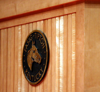 2009 Fasig-Tipton November Sale