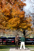FTKscenics11-09Z24