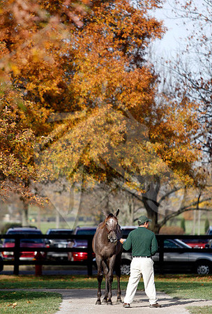 FTKscenics11-09Z24