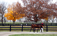 FTKscenics11-09Z33