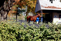 Scenics11-1-25FTK1876