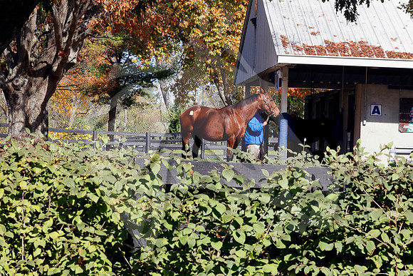 Scenics11-1-25FTK1876