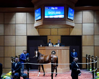 Hip033FTK11-2-25KLD1918