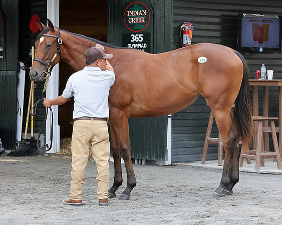 Hip324FTNY8-25FTK9720