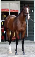 Hip82FTS21