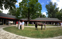 2015 Saratoga Selected Yearling Sale