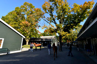 2014 Fasig-Tipton Saratoga Fall Sale