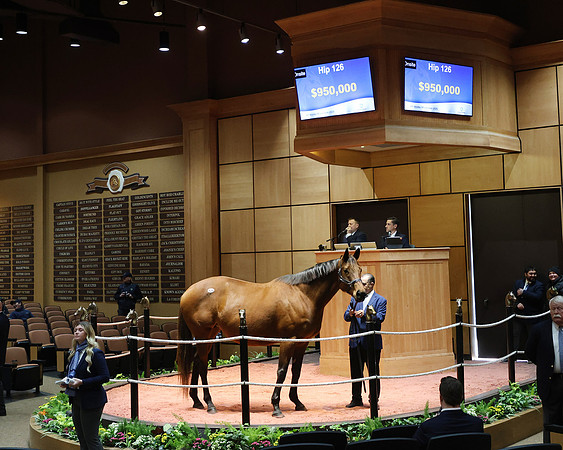 Hip126Ava'sGrace2-26FTK3102