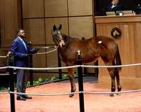 Hip127FTK2-26FTK139