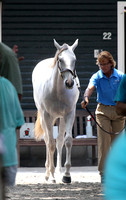Hip81FTS55