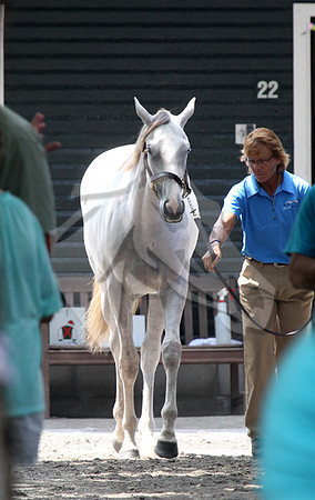 Hip81FTS55