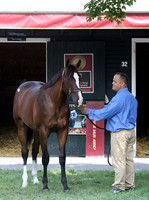 Hip82FTS82