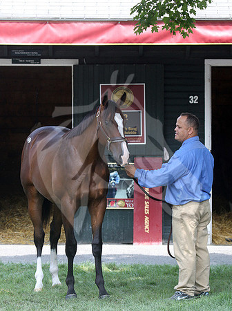 Hip82FTS82