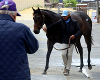Hip 402FTMD5-14-26FTK6187