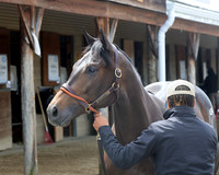 Hip402FTMD5-14-26FTK6179