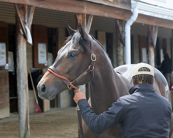 Hip402FTMD5-14-26FTK6179
