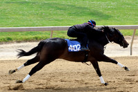 Hip402FTMD5-13-26FTK208
