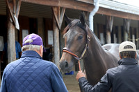 Hip402FTMD5-14-26FTK6171