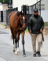Hip428FTMD5-14-26FTK6482