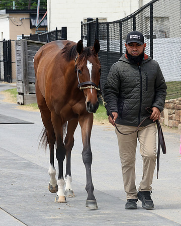 Hip428FTMD5-14-26FTK6482