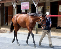 Hip452FTMD5-14-26FTK6375