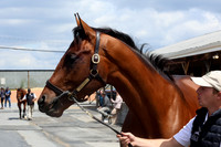 Hip452FTMD5-14-26FTK6400