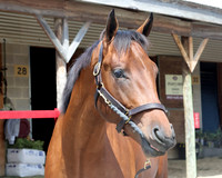 Hip452FTMD5-14-26FTK6406