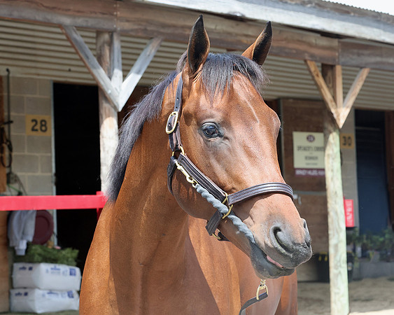 Hip452FTMD5-14-26FTK6406
