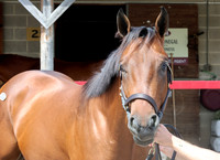 Hip452FTMD5-14-26FTK6422