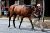 Hip452FTMD5-14-26FTK6387