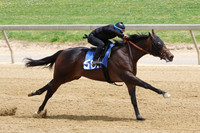 Hip581FTMD5-18-26FTK05020