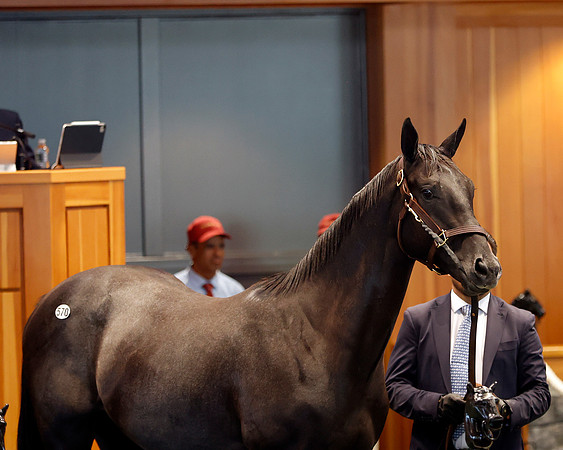 Hip570FTNY8-24FTK731