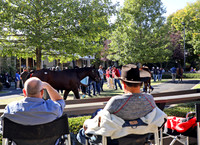 FTK October Fall Yearling Sale Gallery