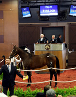 Hip25FTMD5-18FTK391