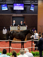 Hip21FTMD5-18FTK367