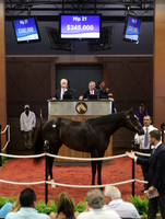 Hip21FTMD5-18FTK374