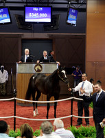 Hip21FTMD5-18FTK358