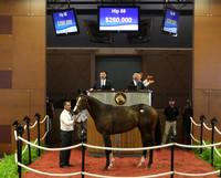 Hip88FTMD5-18FTK803