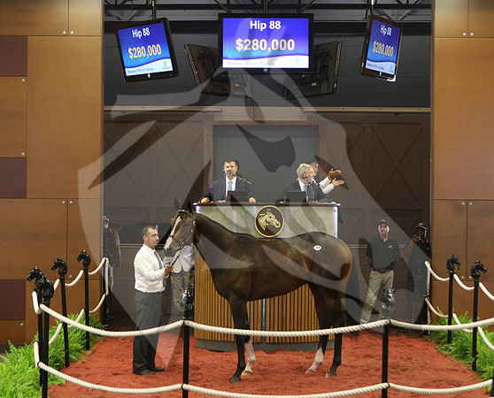 Hip88FTMD5-18FTK803