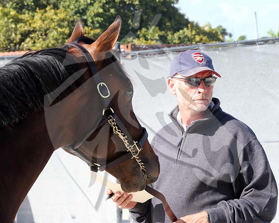 Dunne,CiaranFT20